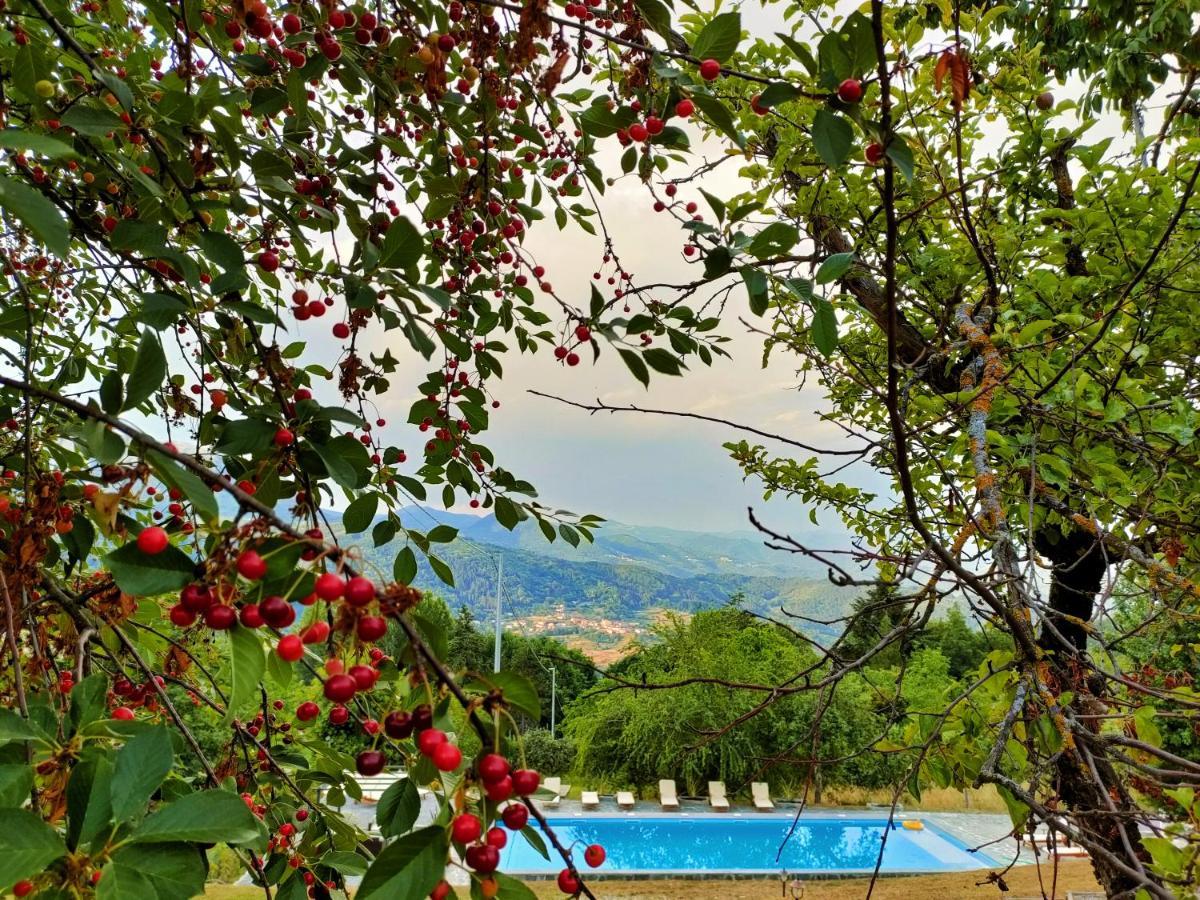 Agriturismo Borgo Biaia Camporgiano Dış mekan fotoğraf
